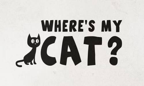 Where is cat?