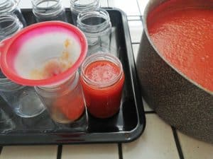 Filling of the jars with the puree