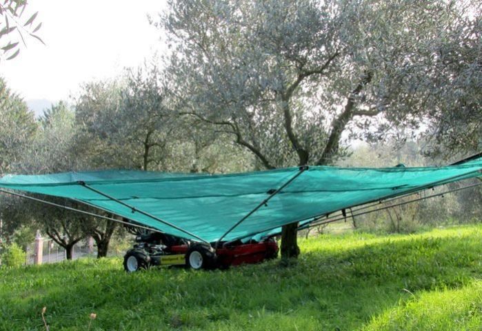 Trunk vibrator to pick the olives