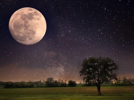 Moon and Agriculture