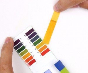 Cómo medir el pH del suelo con papeles tornasol