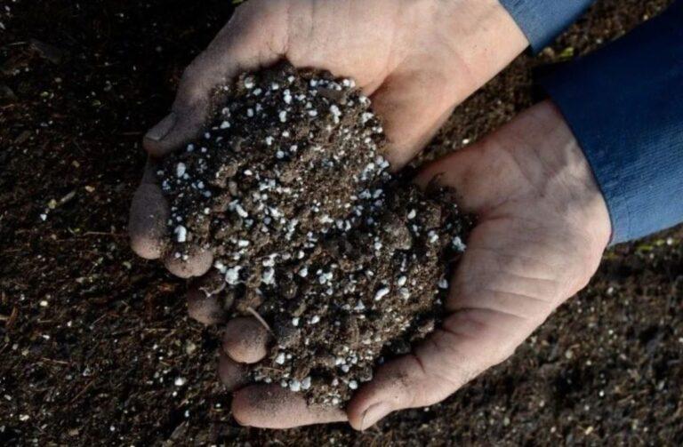 Perlite, the advantages as a substrate for growing in pots