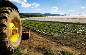 Hoe een land te kiezen om te cultiveren om een ​​landbouwbedrijf te starten?