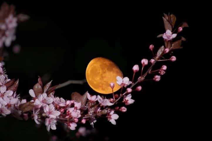 四月的月亮