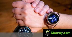 Weekly survey: how many of you have a smartwatch and what type?