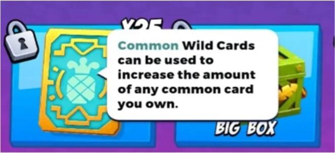 Common Wild Card