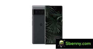 Google Pixel 6 Pro Displaytest