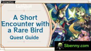 Genshin Impact: A brief meeting with a guide and tips for rare bird world missions