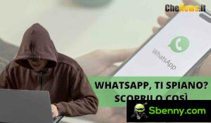 WhatsApp, do you feel spied on?  You can find out with this trick