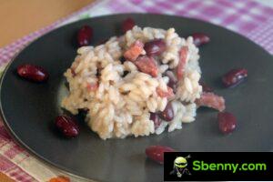 Panissa, the risotto of Vercelli