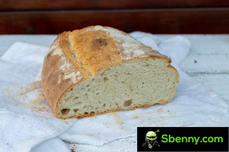 Cafone bread with sourdough, how to prepare it at home