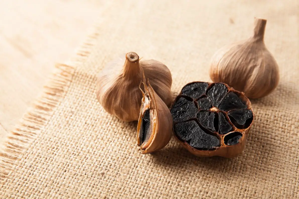 Black garlic: how it is obtained, its properties and uses in the kitchen
