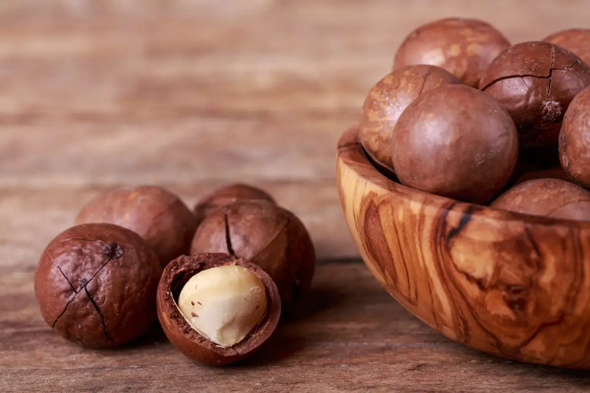 Macadamia-noten: wat ze zijn, eigenschappen en toepassingen