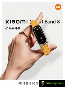 Banda Xiaomi 8