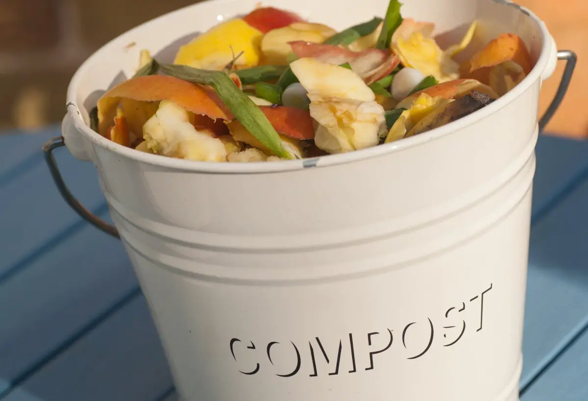 Comment faire du thé de compost