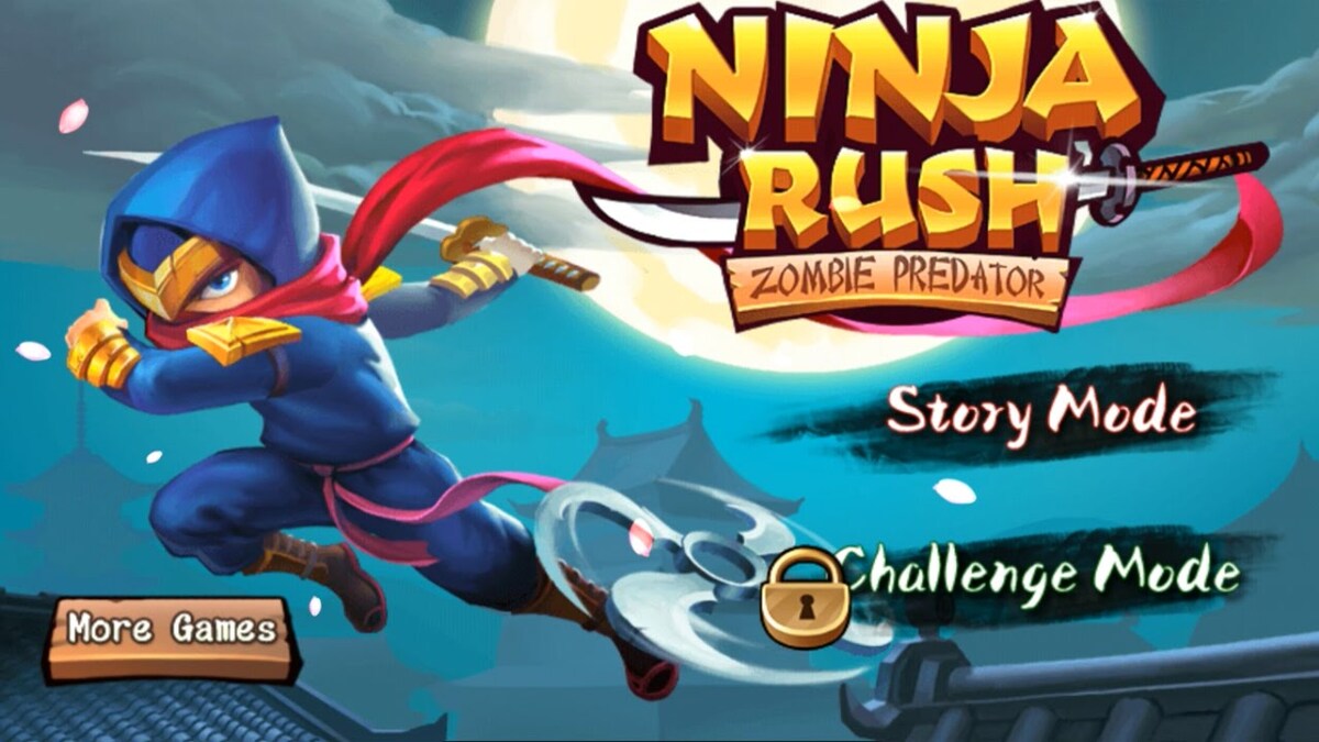 Ninja-Ansturm