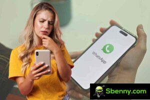 L'aggiornamento di WhatsApp rivoluziona la privacy: la novità divide gli utenti