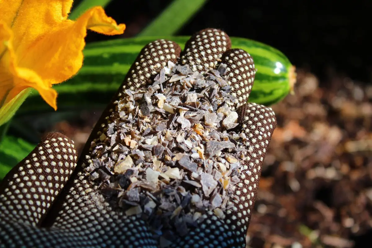 Cornunghia: concime organico per orti e frutteti biologici. Proprietà e usi pratici