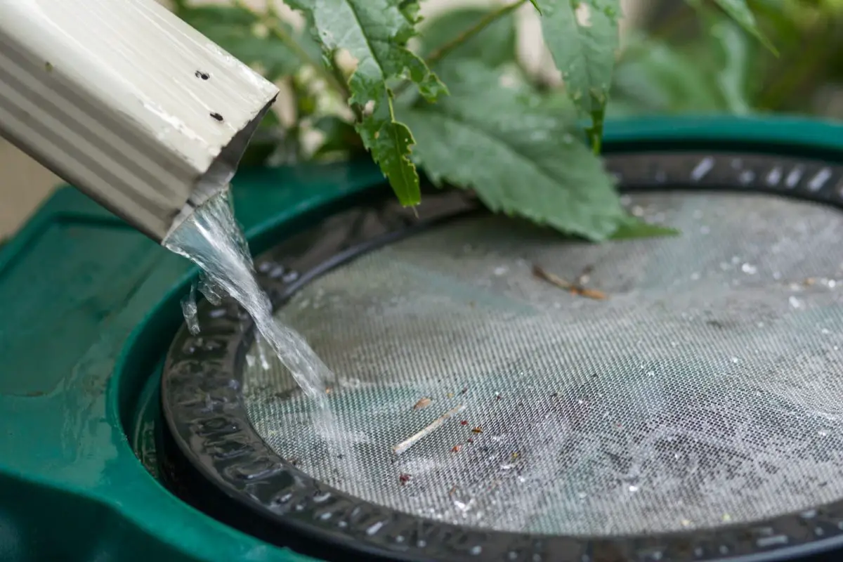 Hogyan nyerjük vissza az esővizet és használjuk a kert öntözésére