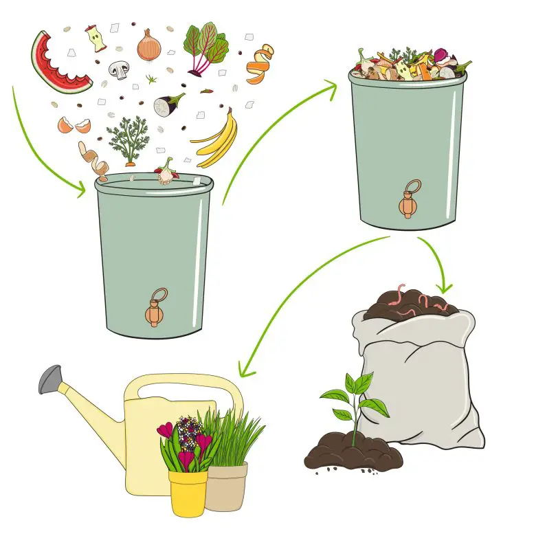 cycle de compostage