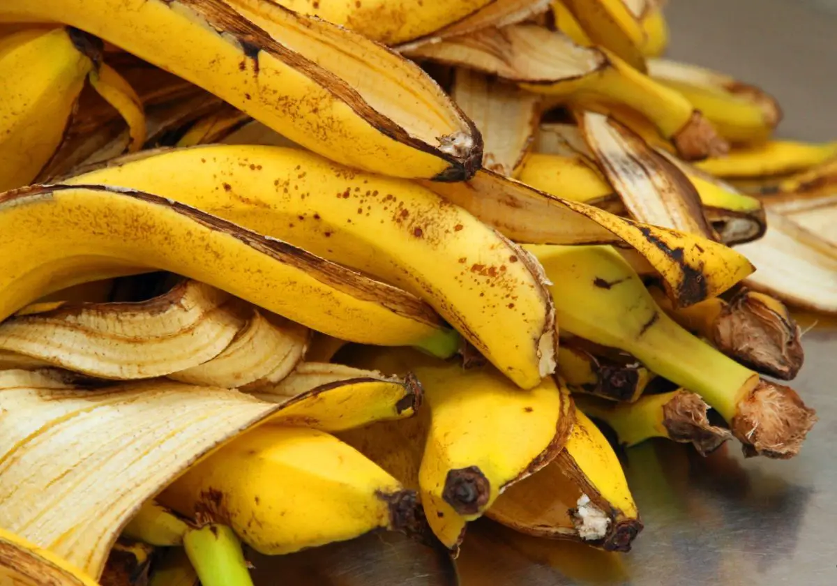 Wie man zu Hause einen natürlichen Dünger aus Bananenschalen herstellt