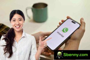 WhatsApp, die neue Funktion ist sozial: Freude bei den Nutzern