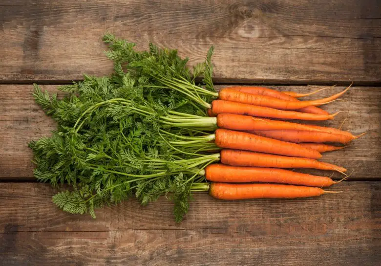 Foglie di carota fresca