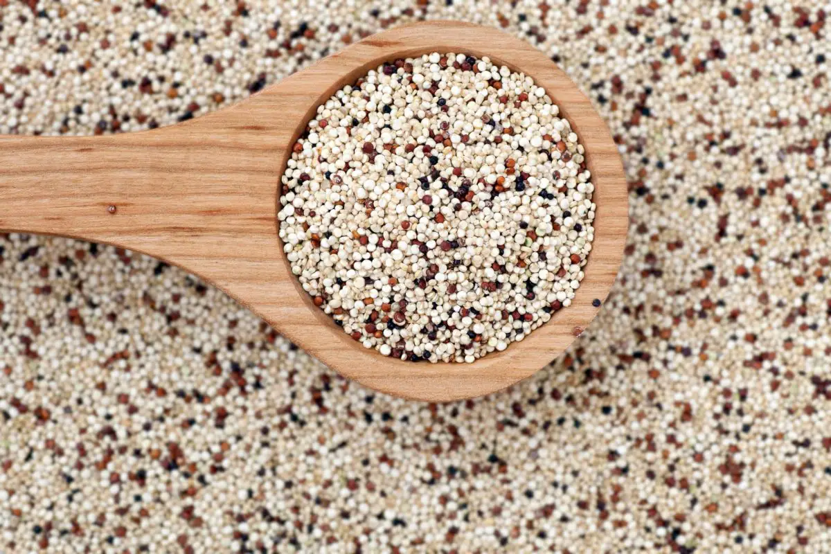 Cara tuwuh quinoa, cara nggunakake lan apa sifate