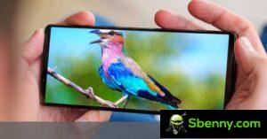Das Sony Xperia 1 V erhält Android 14 mit Video Creator und verbessertem Bokeh-Modus