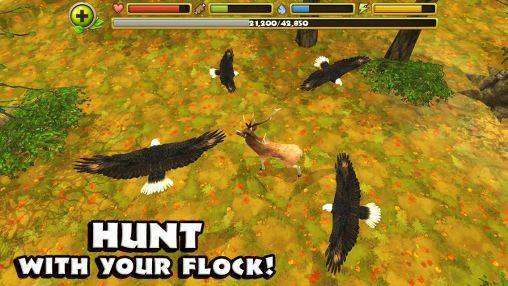 Eagle szimulátor Free Download Android Game