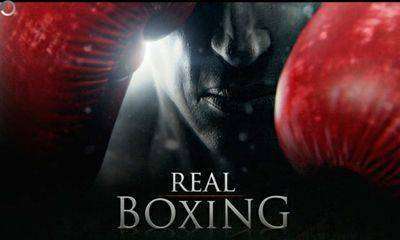 Boxing Real