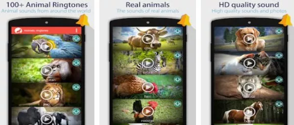 Gameplay screenshot from animals ringtones for Android