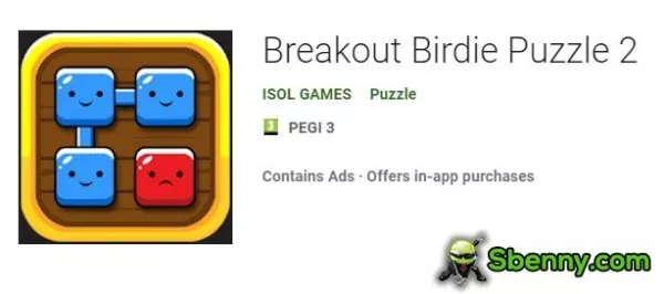 breakout birdie puzzle2