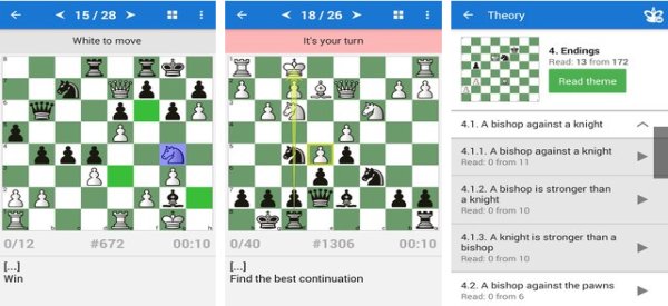 Gameplay screenshot from chess strategy and tactics vol 2 for Android
