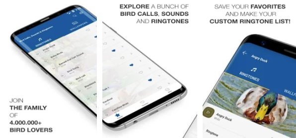 Gameplay screenshot from bird calls sounds and ringtones for Android