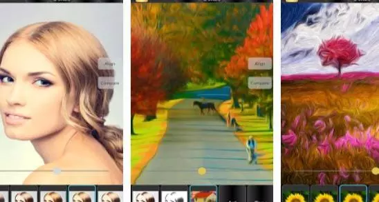 Gameplay screenshot from bonfire photo editor pro for Android