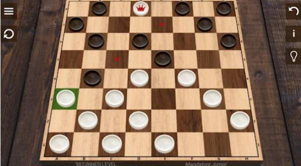 Gameplay screenshot from checkers for Android