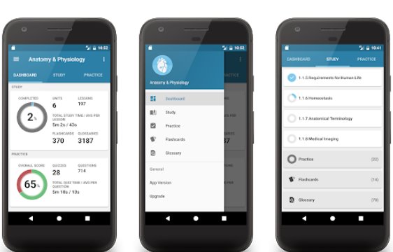 Gameplay screenshot from anatomy and physiology 2020 for Android