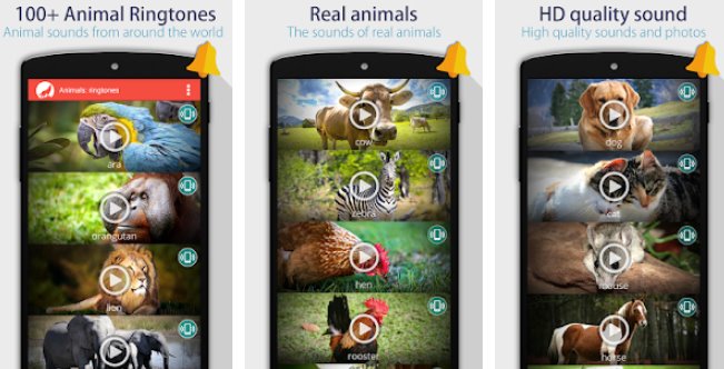 állatok csengőhangok MOD APK Android