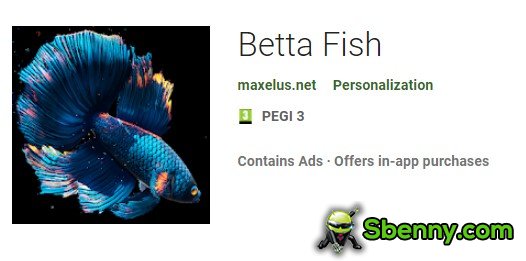 peixe Betta