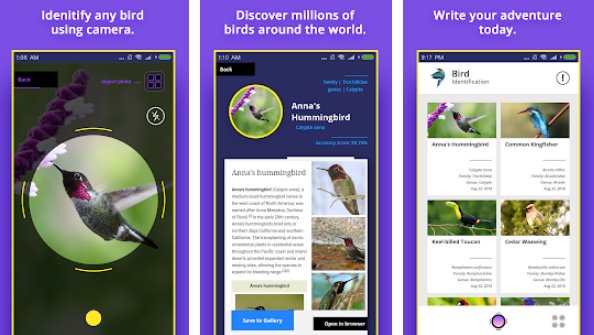 Gameplay screenshot from bird identifier for Android