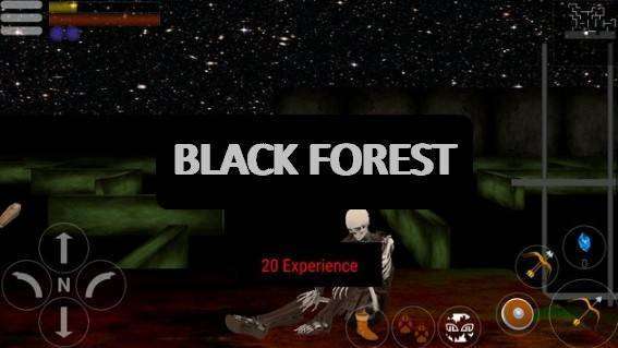  Black Forest