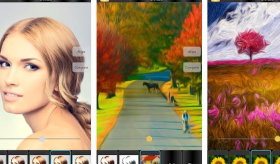 Gameplay screenshot from bonfire photo editor pro for Android