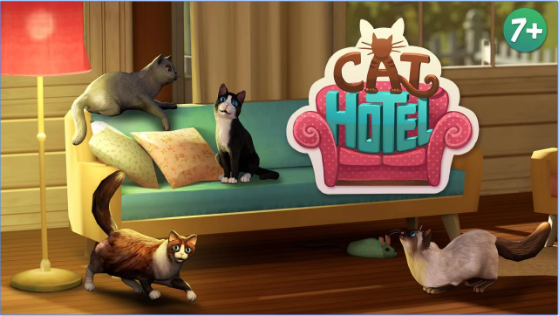 Hotel cathotel para gatos bonitos