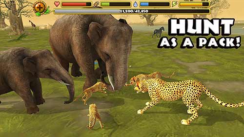 Cheetah Simulator Télécharger APK Android