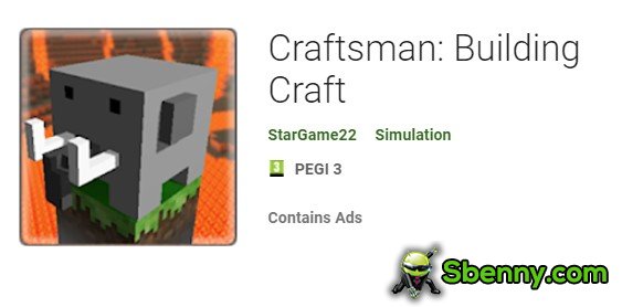 craftsman building craft