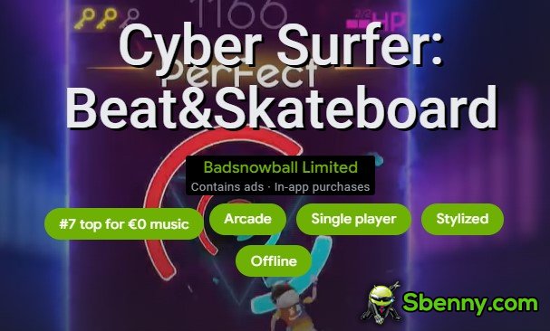 cyber surfer beat and skateboard