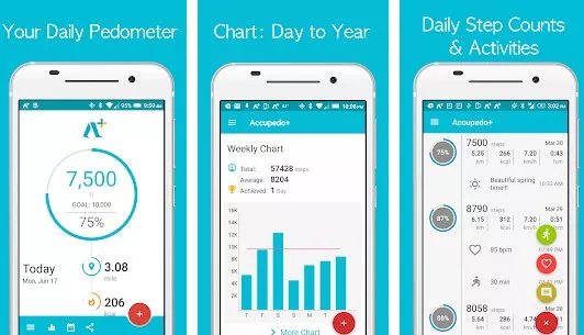 Gameplay screenshot from accupedo pedometer step counter for Android