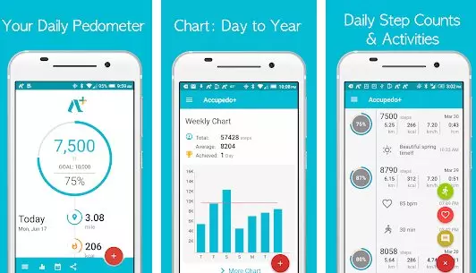 Gameplay screenshot from accupedo pedometer step counter for Android
