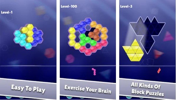 Gameplay screenshot from all block puzzle game pro for Android